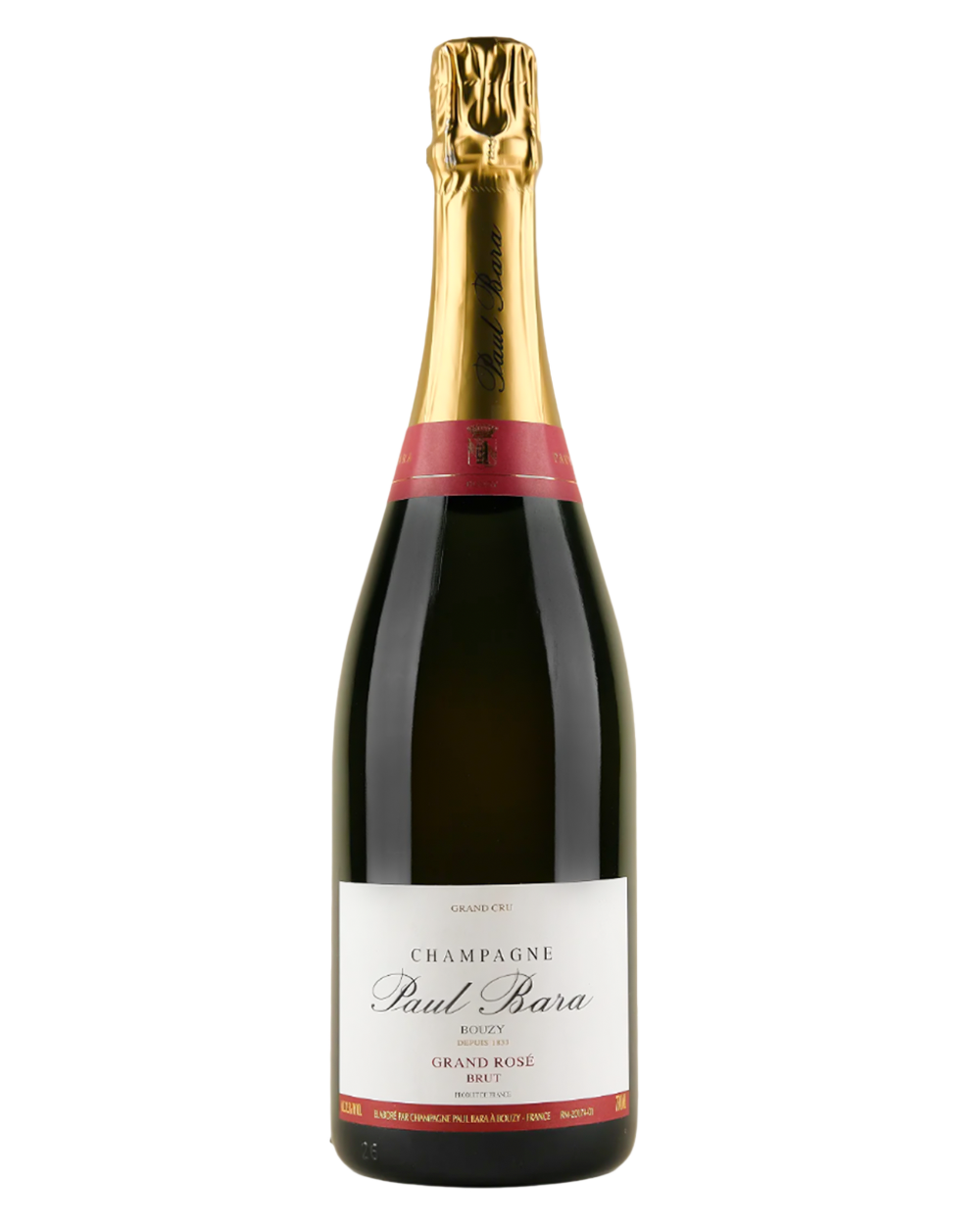 Paul Bara Grand Rose