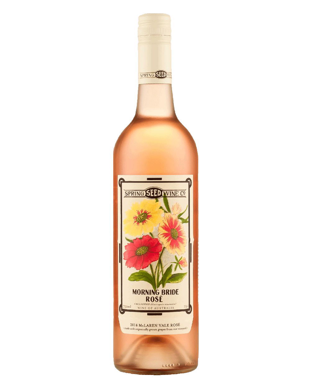 Spring-Seed-Morning-Bride-Rose