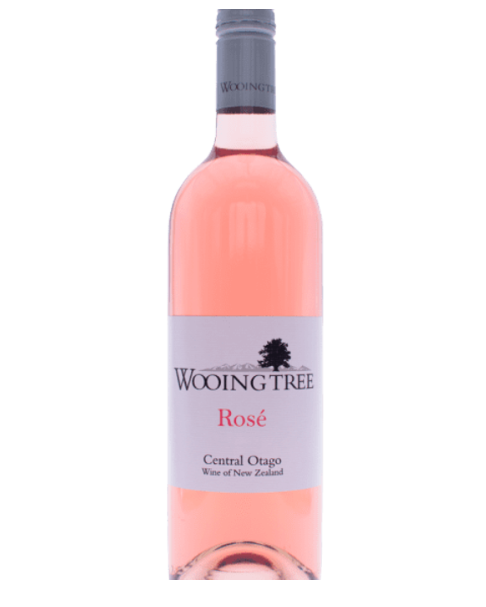 Wooing Tree Rose