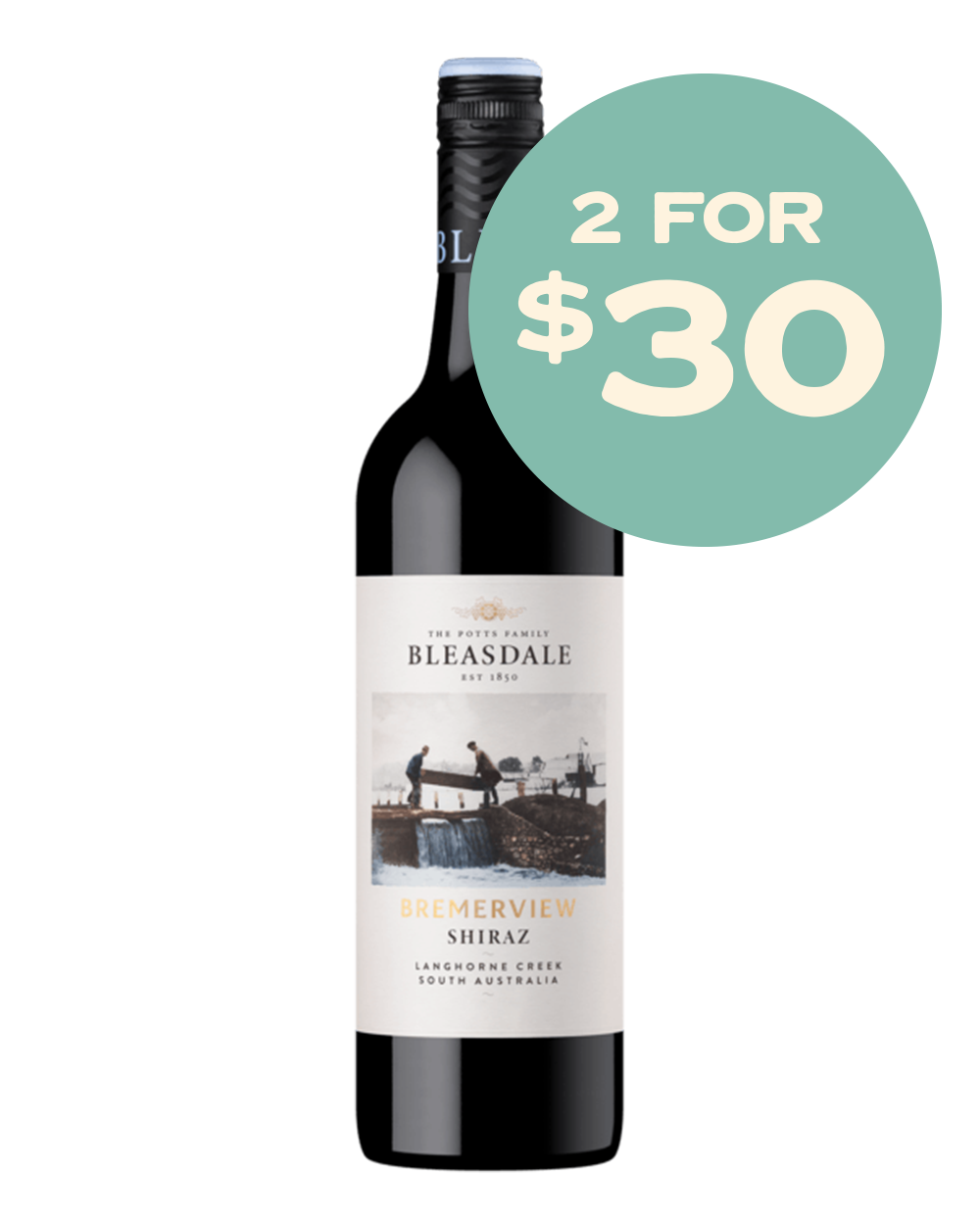 Bleasdale Bremerview Shiraz