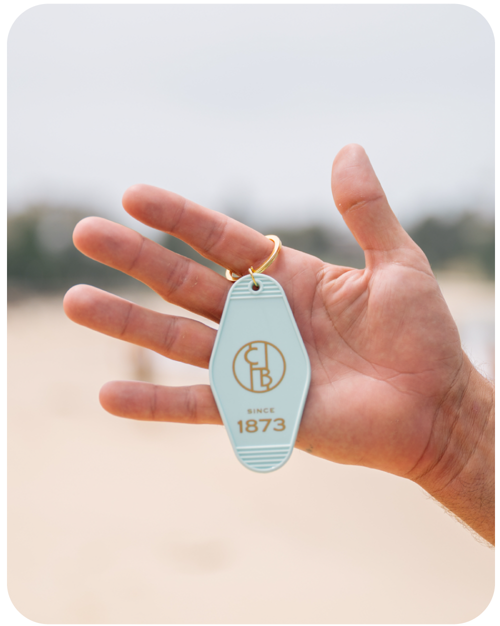 🎁 CBH Key Ring (100% off)