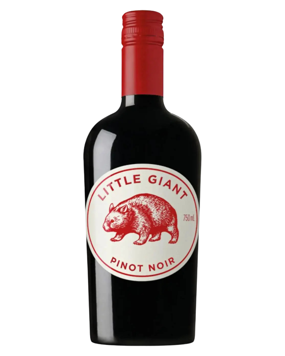 Little Giant Pinot Noir